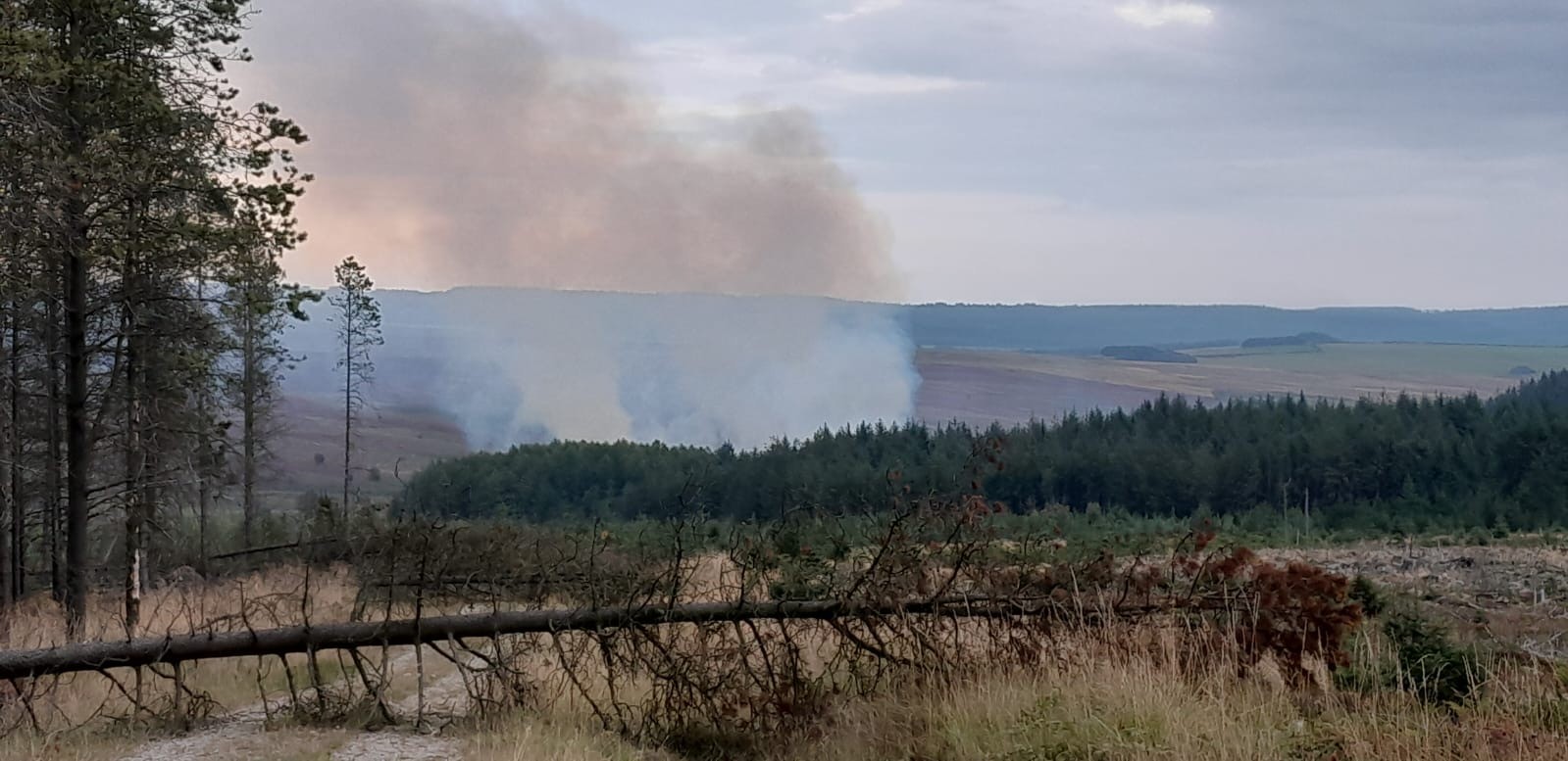 incident-update-langdale-moor-fire-north-yorkshire-fire-rescue
