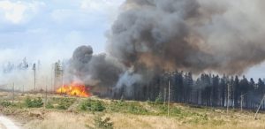 Large forest fire with bright orange flames burning among trees in the centre of the image. Thick dark grey smoke billows upward, spreading across the sky. The foreground shows dry grassland and small green shrubs, while the background includes a line of tall trees and a partly cloudy sky