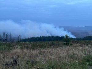 Wide view of moorland and forest with smoke rising from a fire in the distance. Thick white smoke drifts across the centre of the image, partially obscuring the hills beyond. The foreground shows dry grass and low vegetation, with a single small tree visible